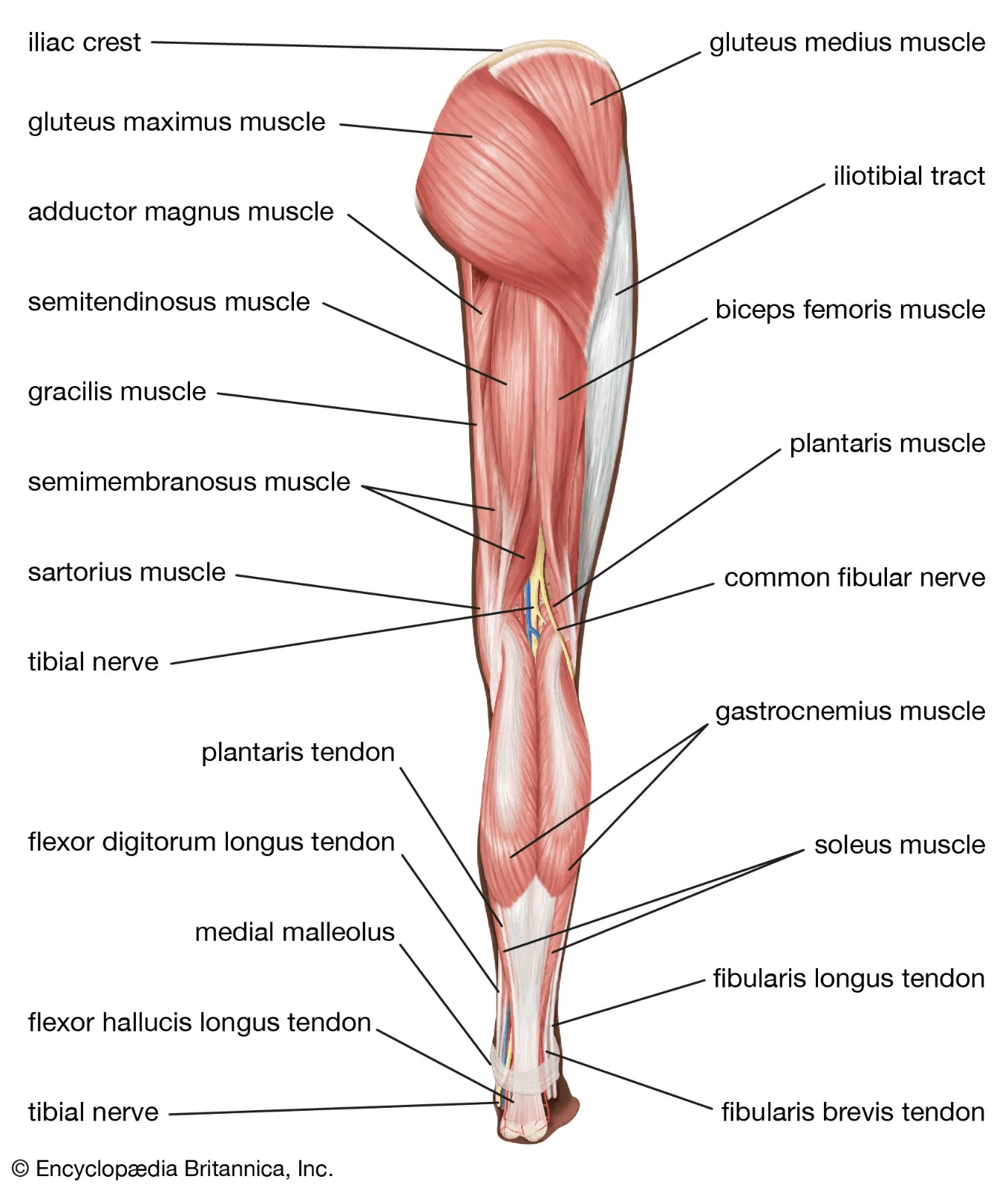 Massage behandeling